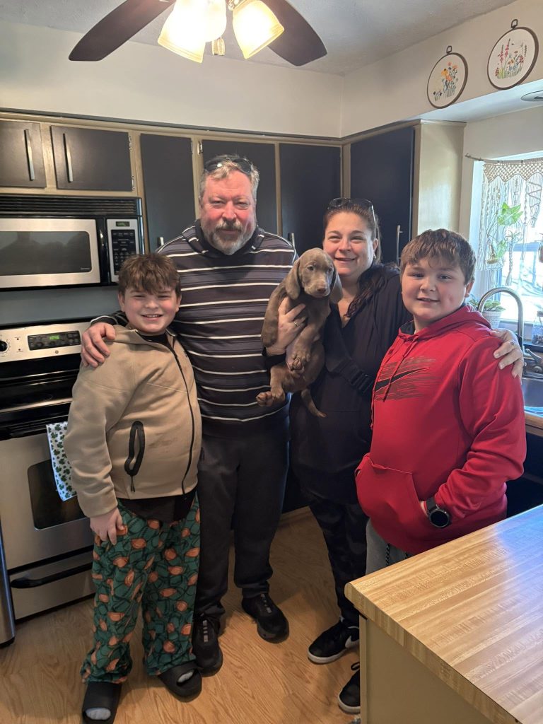 Silver Labrador puppy with family in Illinois